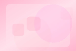 Tor 브라우저 사용